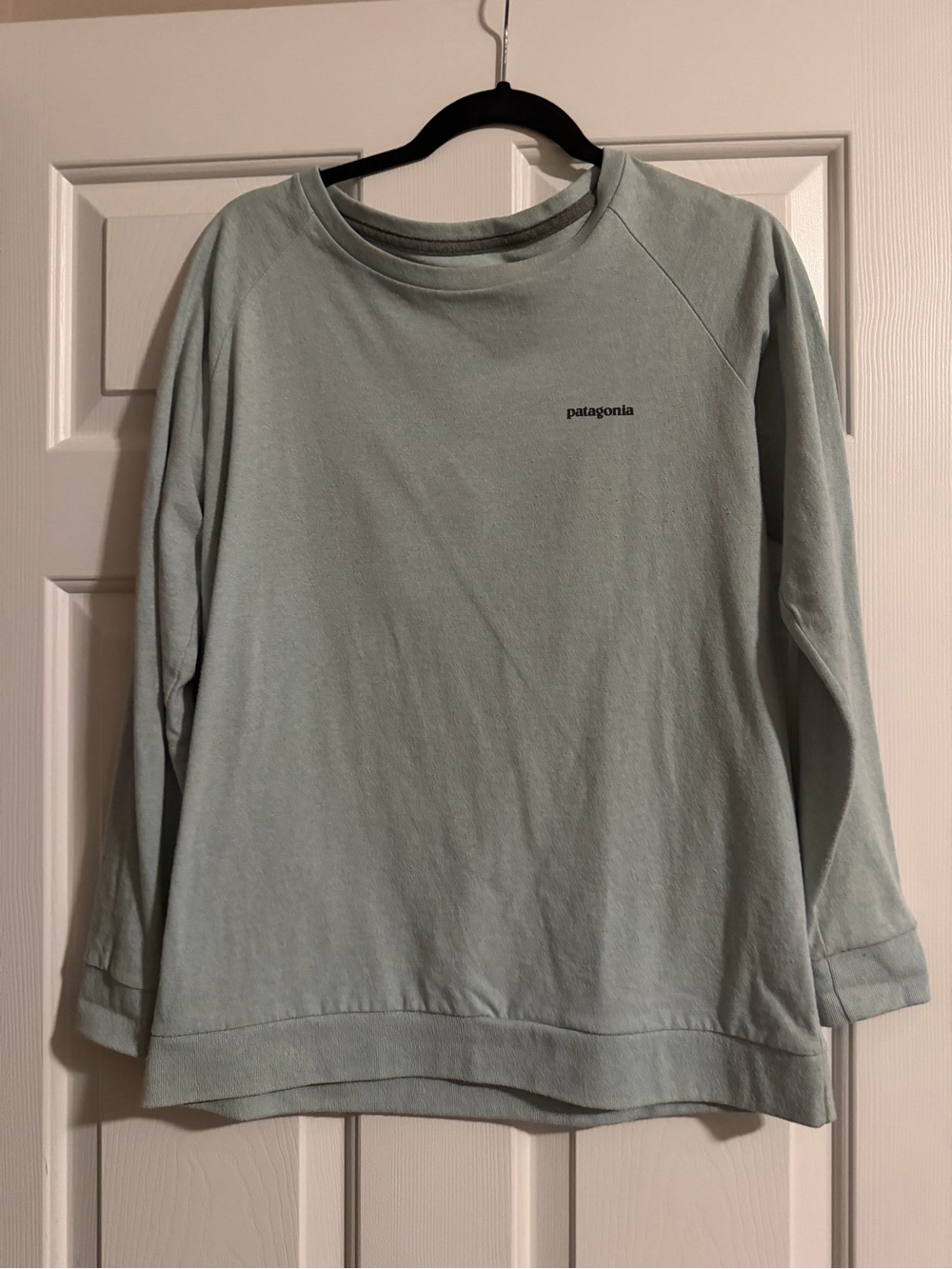 Patagonia Men’s Crewneck Sweater in Light Sage